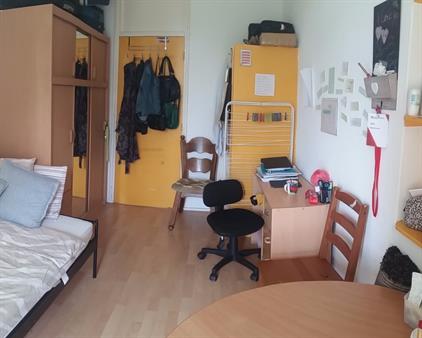 Room for rent 650 euro Spirealaan, Groningen