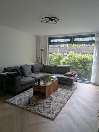 Zimmer bei Zwanebloemlaan In Amsterdam