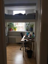 Kamer te huur 300 euro Wassenaarstraat, Delft