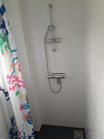 Zimmer bei Treubstraat In Tilburg