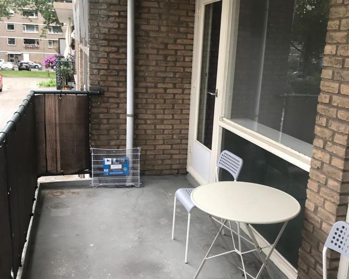 Zimmer bei Drijfhoutstraat In Rotterdam
