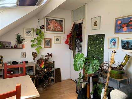 Room for rent 535 euro Sleeswijk, Utrecht