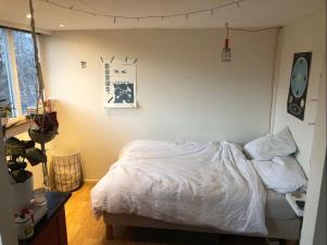 Room for rent 505 euro Bedumerstraat, Groningen