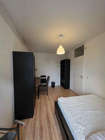 Kamer in Rotterdam, Sint-Jacobstraat op Kamernet.nl: Een rustig huis, Meent Rotterdam