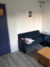 Room for rent 600 euro Schoemakerstraat, Delft