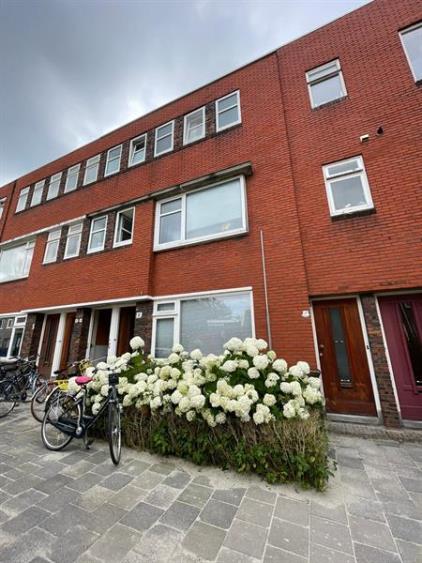 Van Kerckhoffstraat