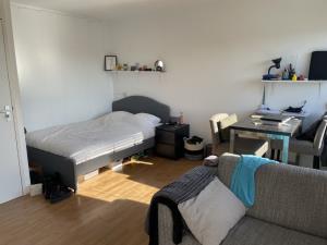 Room for rent 340 euro Wilhelmina Druckerstraat, Apeldoorn