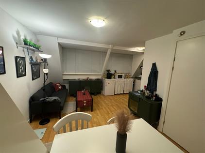 Room for rent 723 euro Linschotenstraat, Haarlem