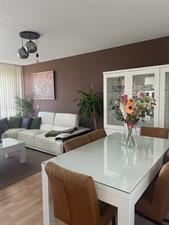 Room for rent 800 euro Albert van Raalteplein, Schiedam