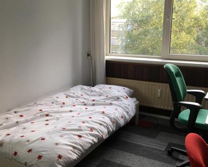 Room for rent 820 euro Brahmslaan, Leiden