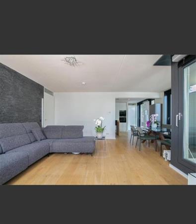 Zimmer bei Professor J.H. Gunningstraat In Amsterdam