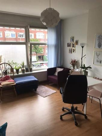 Zimmer bei Schieweg In Rotterdam