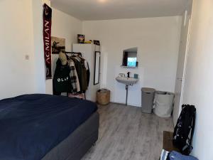 Room for rent 500 euro De Wieken, Malden