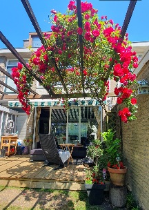 Zimmer bei Jacob van Akenstraat In Rotterdam