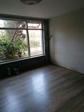 Room for rent 400 euro Liesbospark, Breda