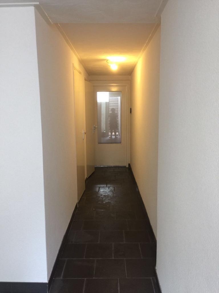 van Heutszstraat