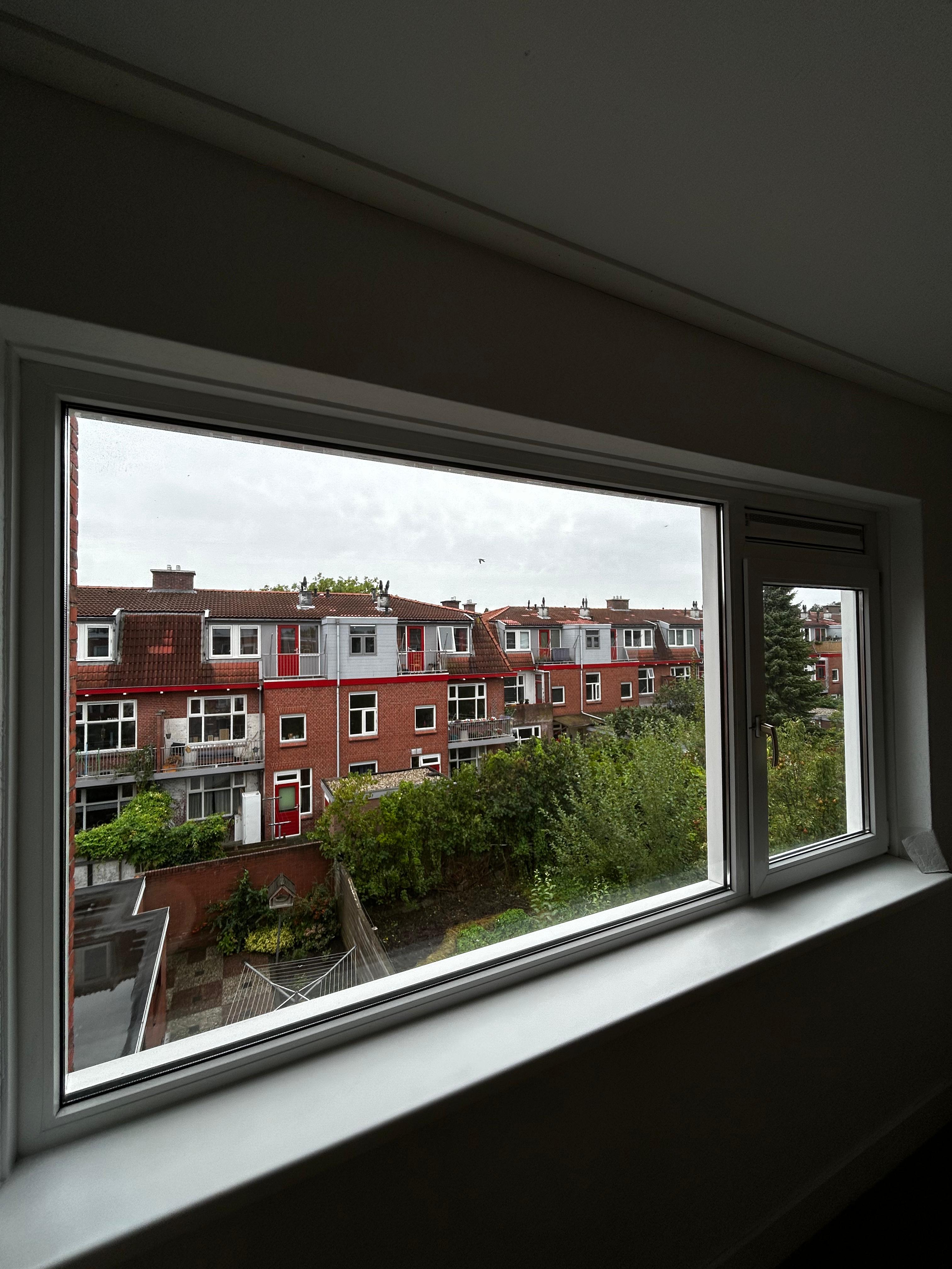 Oppenheimstraat