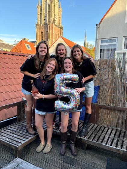Room for rent 542 euro De Vlouw, Delft