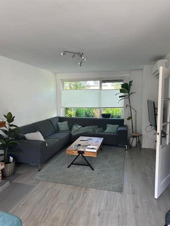 Zimmer bei Ranonkelstraat In Groningen