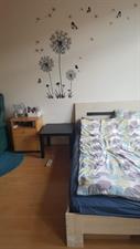 Room for rent 805 euro Spaarnestraat, Den Haag