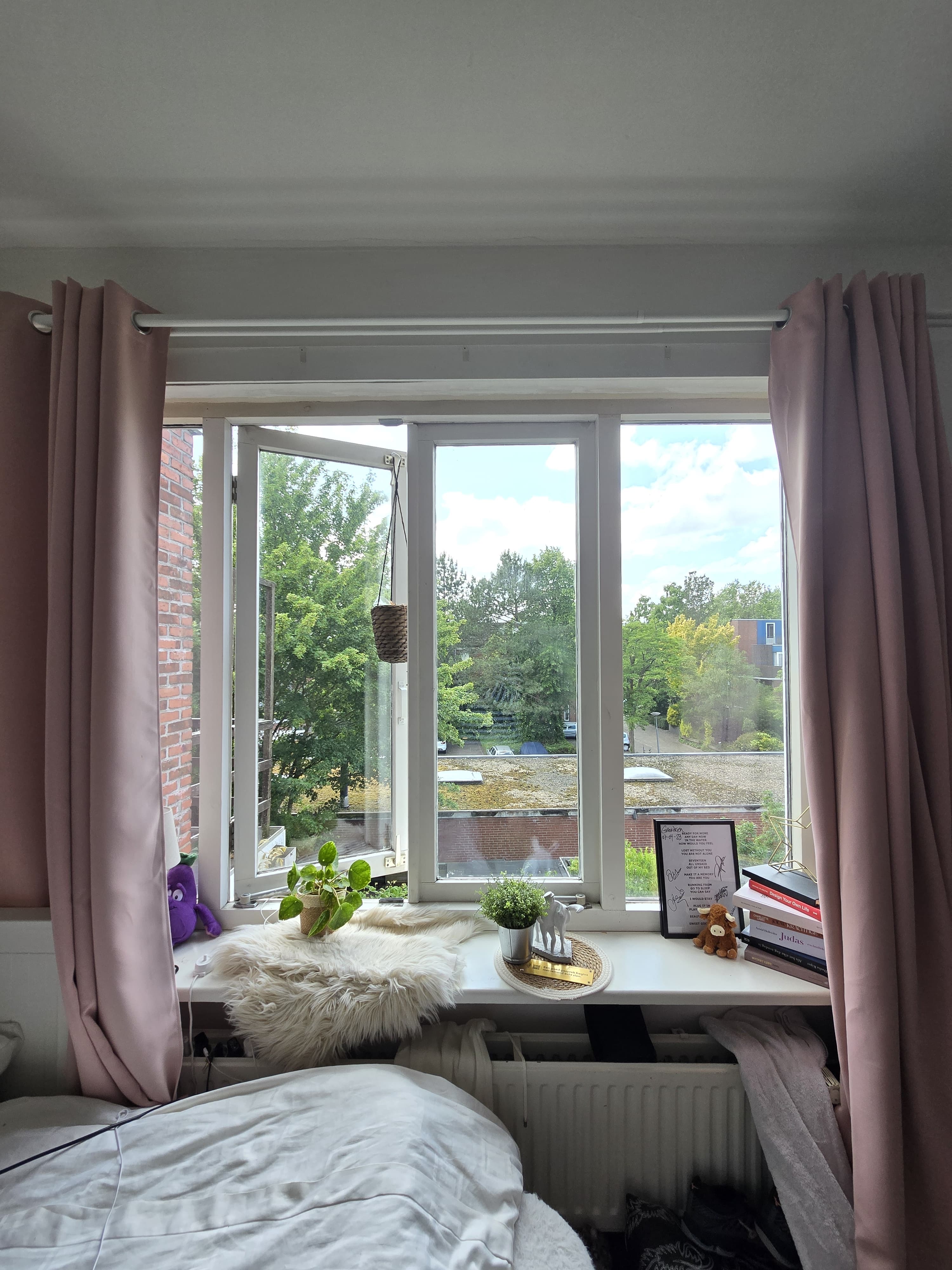 Professor Rankestraat