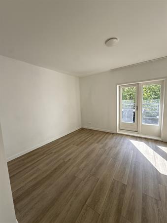 Zimmer bei Honingerdijk In Rotterdam
