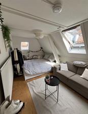 Room for rent 330 euro Papenstraat, Deventer