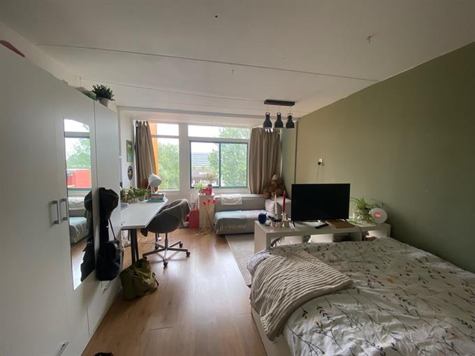 Zimmer bei Van Hasseltlaan In Delft