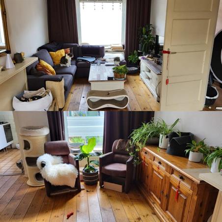 Kamer in Tilburg, Broekhovenseweg op Kamernet.nl: Hospita op zoek naar nieuwe vrouwelijke huisgenoot