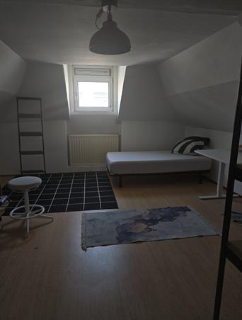 Kamer in Rotterdam, Pieter de Raadtstraat op Kamernet.nl: Stort-Term Room Available in Queer Household