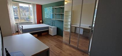 Kamer te huur 850 euro Lucille Ballstraat, Almere