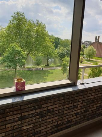 Zimmer bei Wijnesteinlaan In Utrecht