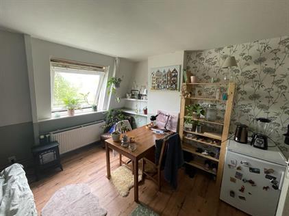 Room for rent 595 euro Helper Westsingel, Groningen