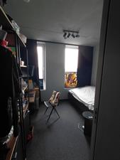 Room for rent 1060 euro Van Leeuwenhoekpark, Delft