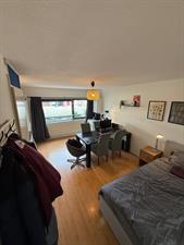 Room for rent 374 euro Leuvenaarstraat, Breda