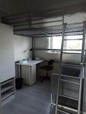 Kamer te huur 440 euro Berg en Dalseweg, Nijmegen