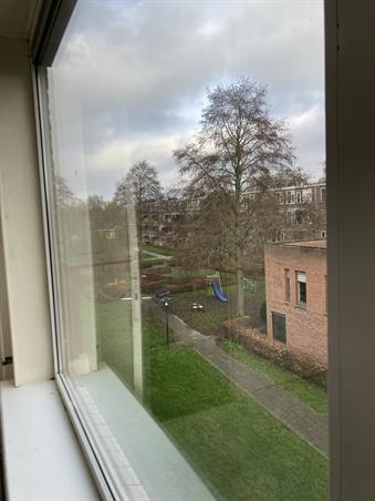 Wohnung bei Nicolaas Beetsstraat In Groningen