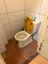 Room for rent 900 euro Koningin Emmakade, Den Haag