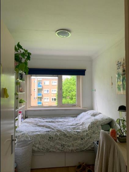 Room for rent 325 euro Paterswoldseweg, Groningen