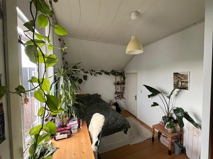 Kamer te huur 510 euro Koningstraat, Leiden