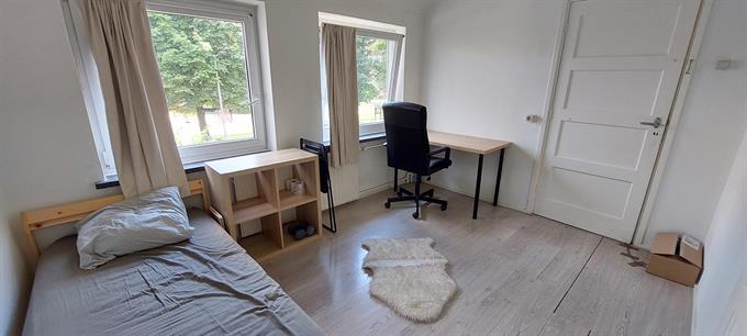 Zimmer bei Van Slingelandtstraat In Arnhem