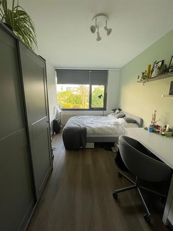 Zimmer bei Texel In Utrecht