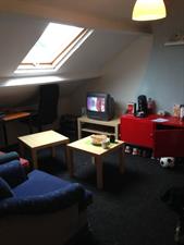 Room for rent 460 euro Kastanjelaan, Groningen