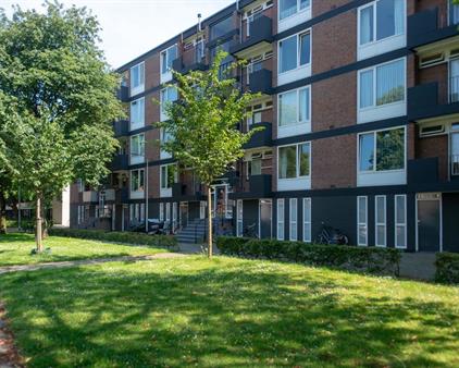 Room for rent 550 euro Tobias Asserlaan, Tilburg