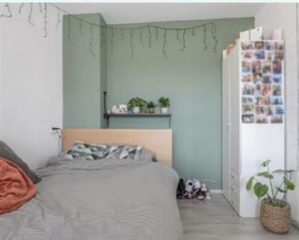 Room for rent 550 euro Herensingel, Weesp