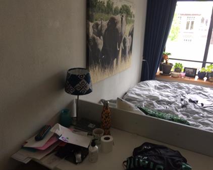 Room for rent 560 euro Arthur van Schendelstraat, Utrecht