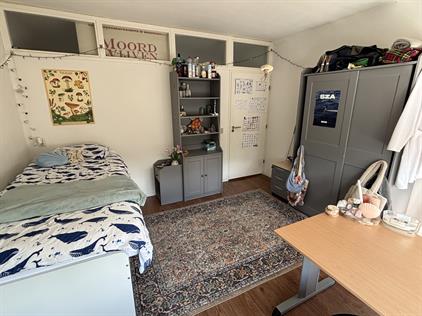 Room for rent 405 euro Plutolaan, Groningen