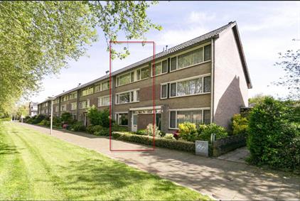 Hulstbosakker