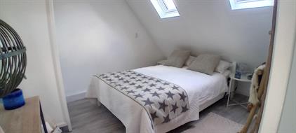 Room for rent 550 euro Paardebloem, Borne