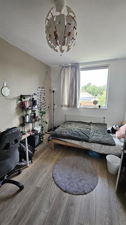 Zimmer bei Johan Metzelaarstraat In Breda